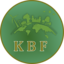 Kronobit Defi Token
