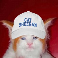 cat sheeran