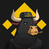 BINANCE BULL