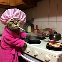 Mom Cat
