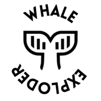 Whale Exploder