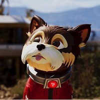 Woofy Meme