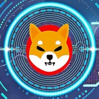 Neo Shiba Inu