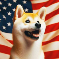 Neiro America