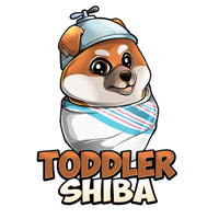 Toddler Shiba