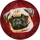 JimmyCoin