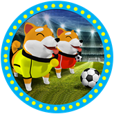 DOGE FOOTBALL