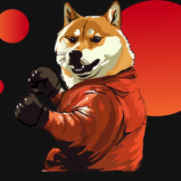 Doge Boxing