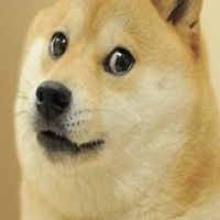 Classic Shiba Bond