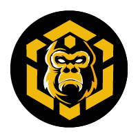 BSC KONG