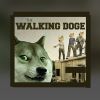 THE WALKING DOGE
