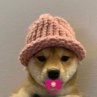 BabyDogWifHat