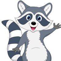 Cute Raccoon
