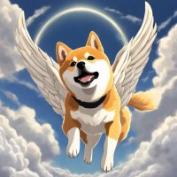 Doge kabosu
