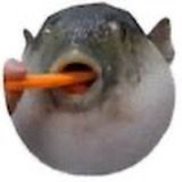 Pufferwifcarrot