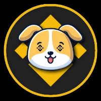 BNB INU