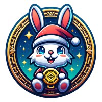 Santa Rabbit