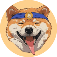 BitDoge Sol Token