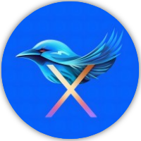 X