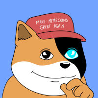 THE SEALO DOG