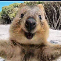 Selfiesteve