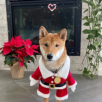 Floki Santa