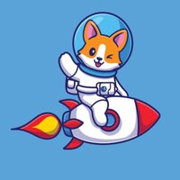 New Year Inu