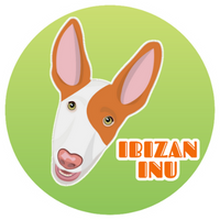IBIZAN INU