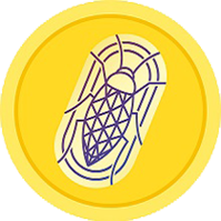 Intergalactic Cockroach Coin