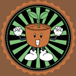 SonGrow