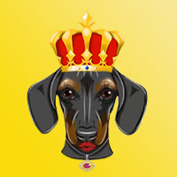 DogeQueen