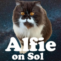 ALFIE