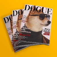 DogueVC