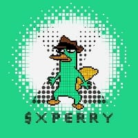 X PERRY