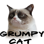Grumpy Cat