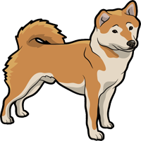 Hachiko Inu