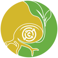 Seed Protocol
