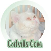 CATVILLSCOIN