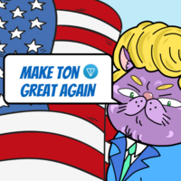 Trumpy Cat