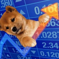What’s $UPDOG