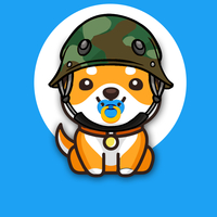BabyDogeWarrior