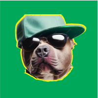 Dog With Swag