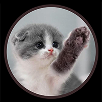 BABY CATARM