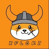 XFLOKI