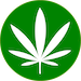 Jaca420