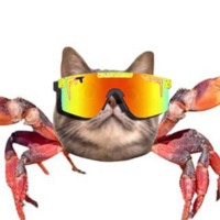 Rave Cat