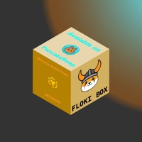 FLOKI BOX