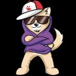 LilDogeFloki