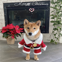 Santa Floki Inu