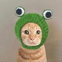 Catwifpepe